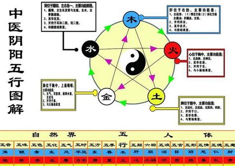 言的五行